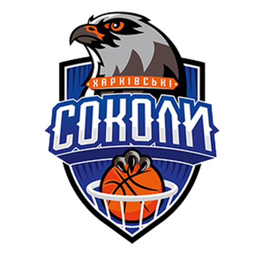 Kharkivski Sokoly artwork 1