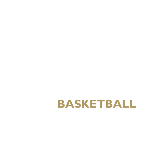 Newcastle Eagles Women badge