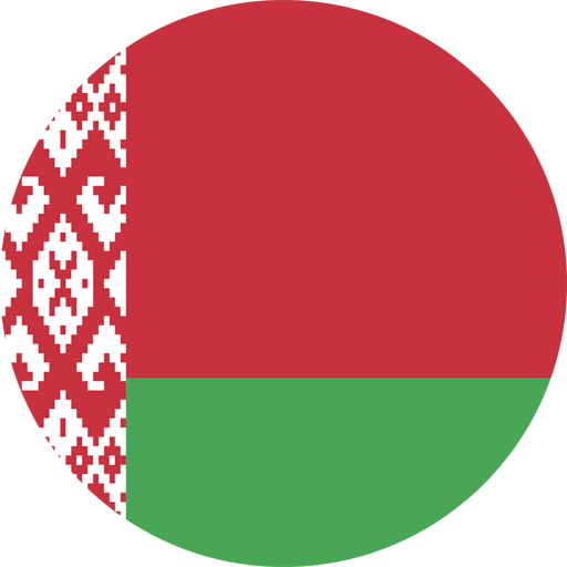 Belarus Biathlon artwork 1