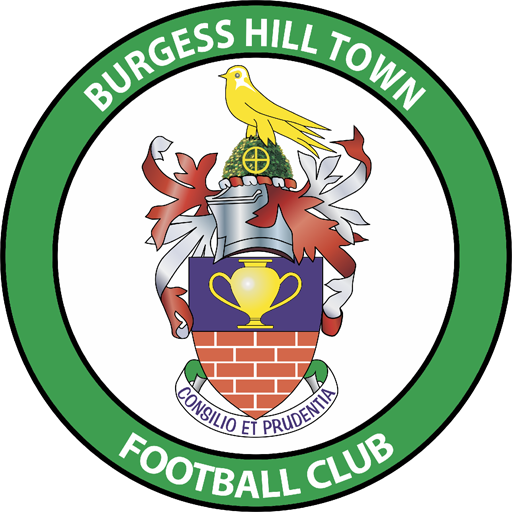 Burgess Hill Town artwork 1
