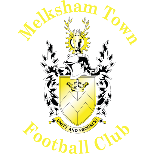 Melksham Town artwork 1