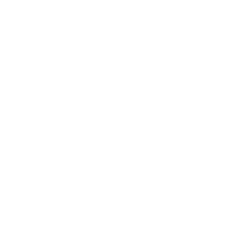 Zenit 2 badge