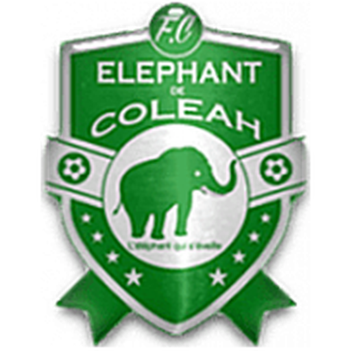 Eléphant Coléah artwork 1
