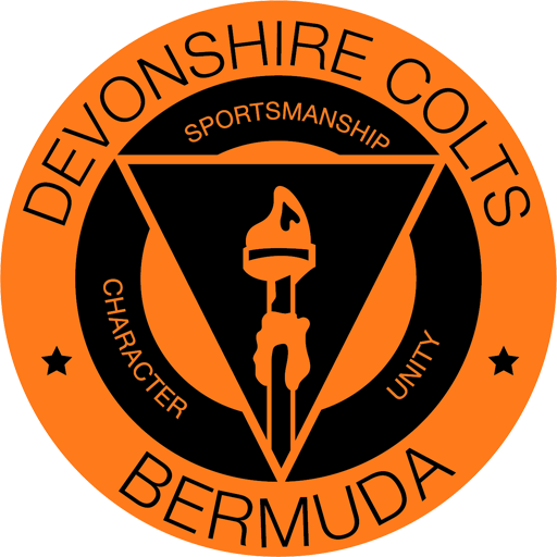 Devonshire Colts artwork 1