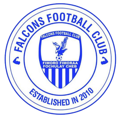 Falcons FC artwork 1