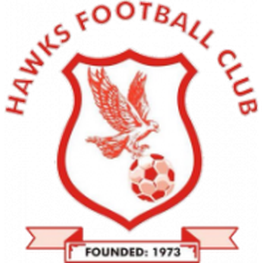 Banjul Hawks FC artwork 1