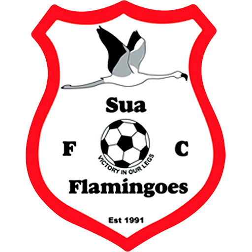 Sua Flamingoes artwork 1