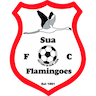 Sua Flamingoes
