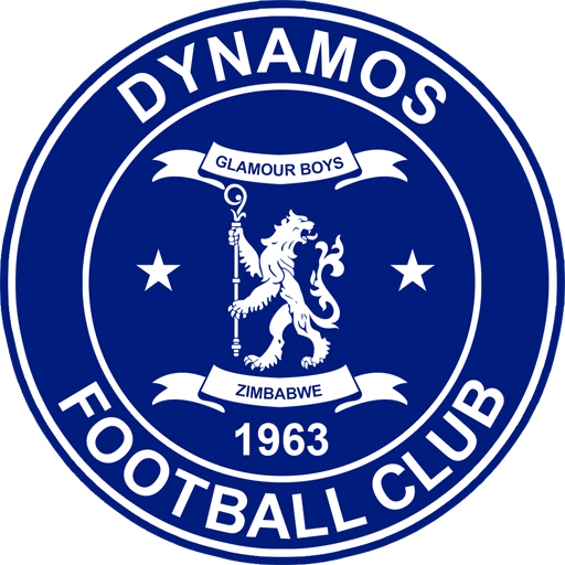 Dynamos Harare artwork 1