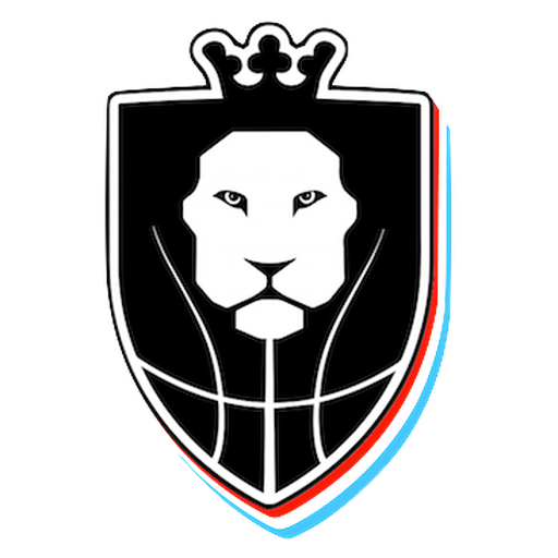 Luxembourg Basketball artwork 1