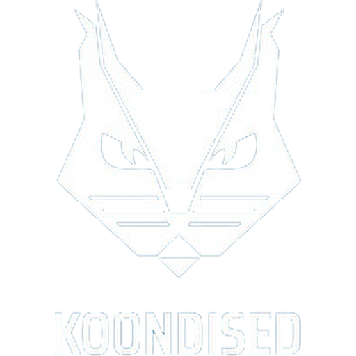 Estonia Basketball Women artwork 1