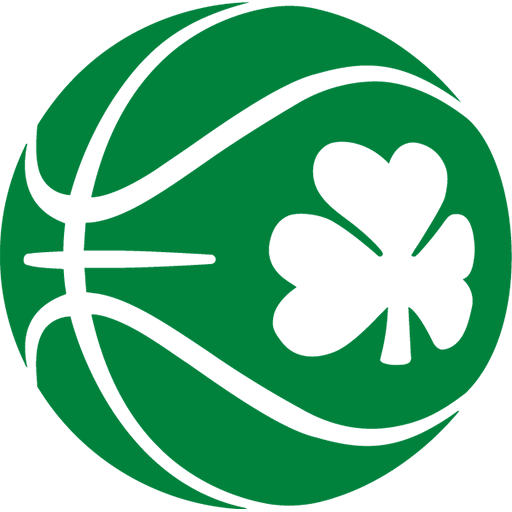 Ireland Basketball Women artwork 1