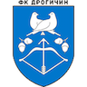 Drogichin