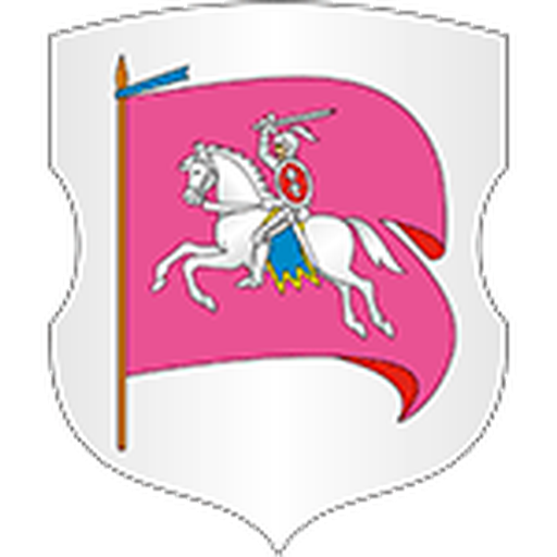 DYuSSh-2 Rechitsa artwork 1