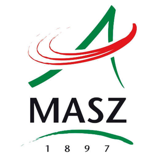 Hungary Athletics artwork 1