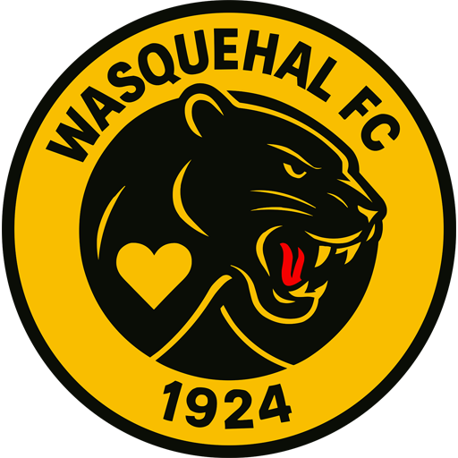 Wasquehal badge