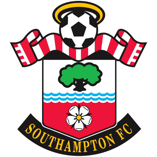 Southampton F.C. Women artwork 1