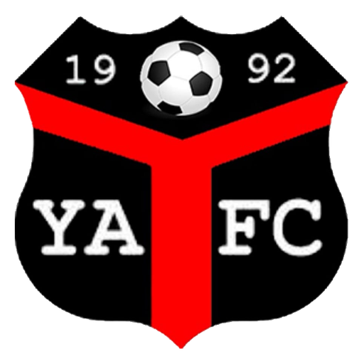 Ynyshir Albions badge