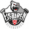 Eisbären Regensburg