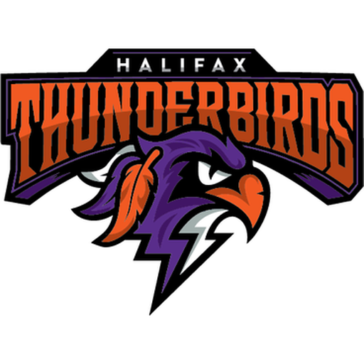 Halifax Thunderbirds artwork 1