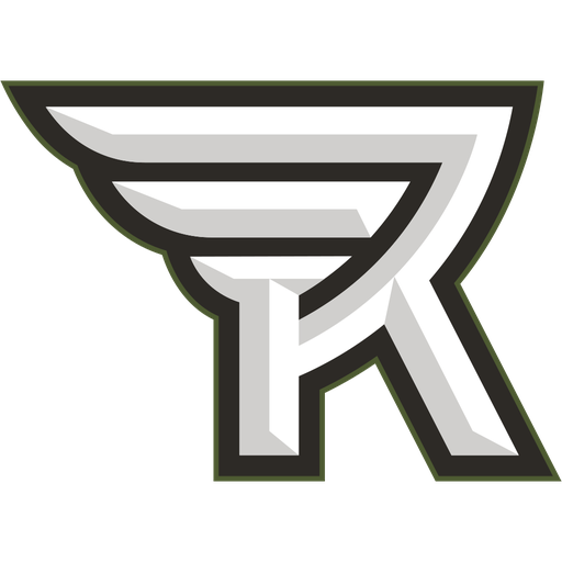 Rochester Knighthawks artwork 1