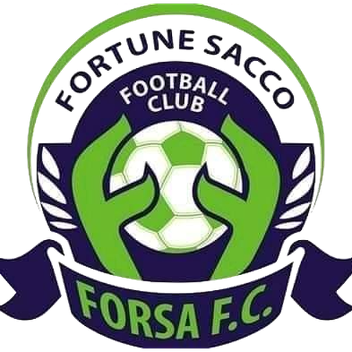 Fortune Sacco artwork 1