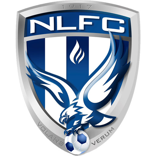 New Lambton artwork 1