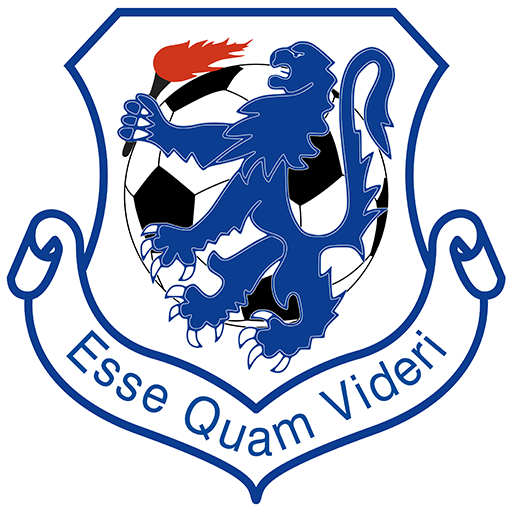 Launceston United artwork 1