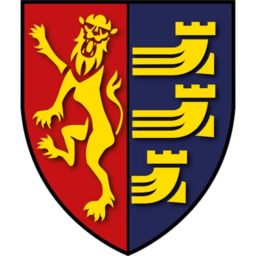 Ipswich Wanderers artwork 1