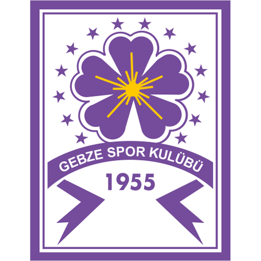 Belediye Derincespor badge