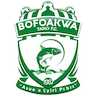 Bofoakwa Tano