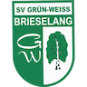 Grün-Weiß Brieselang Women