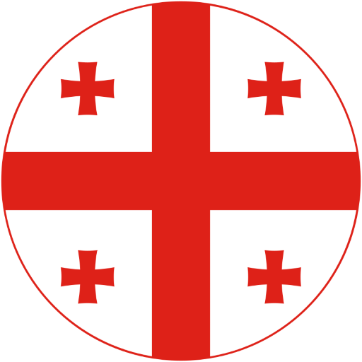 Georgia Swimming artwork 1