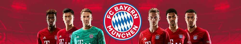Bayern Munich banner