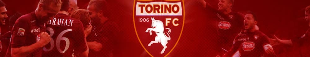 Torino banner