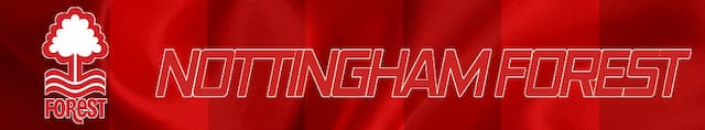 Nottingham Forest artwork 4