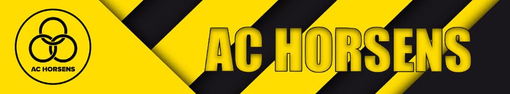 AC Horsens banner