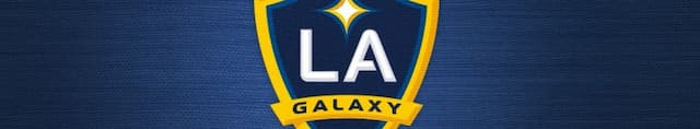 L.A. Galaxy artwork 4