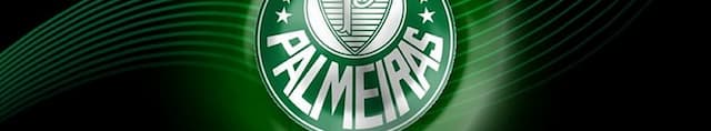 Palmeiras artwork 4