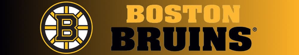 Boston Bruins banner