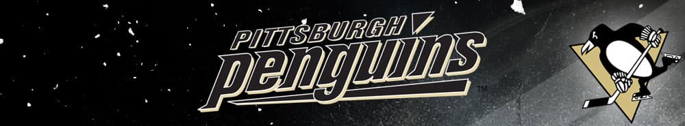 Pittsburgh Penguins banner