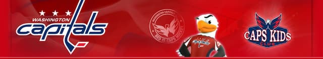 Washington Capitals artwork 4