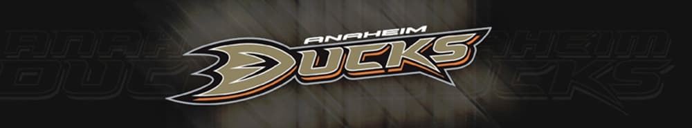 Anaheim Ducks banner