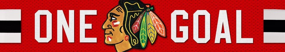 Chicago Blackhawks banner