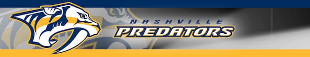 Nashville Predators artwork 4
