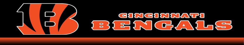 Cincinnati Bengals banner