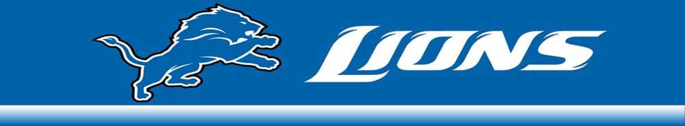 Detroit Lions banner