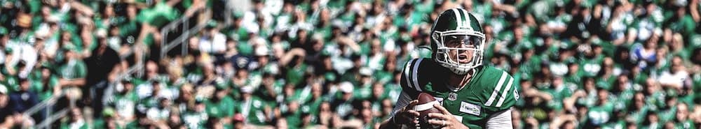 Saskatchewan Roughriders banner