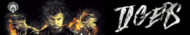 Castleford Tigers artwork 4