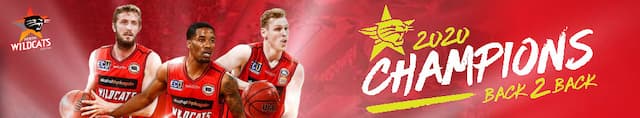 Perth Wildcats artwork 4